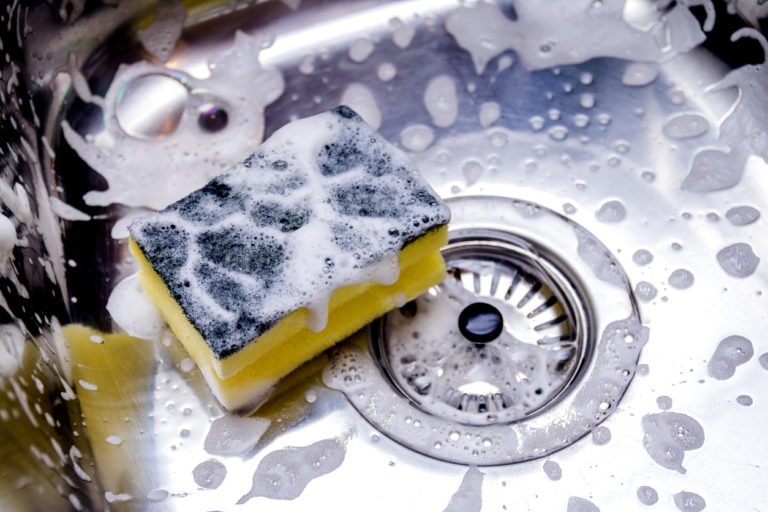 sudsy sponge in sink